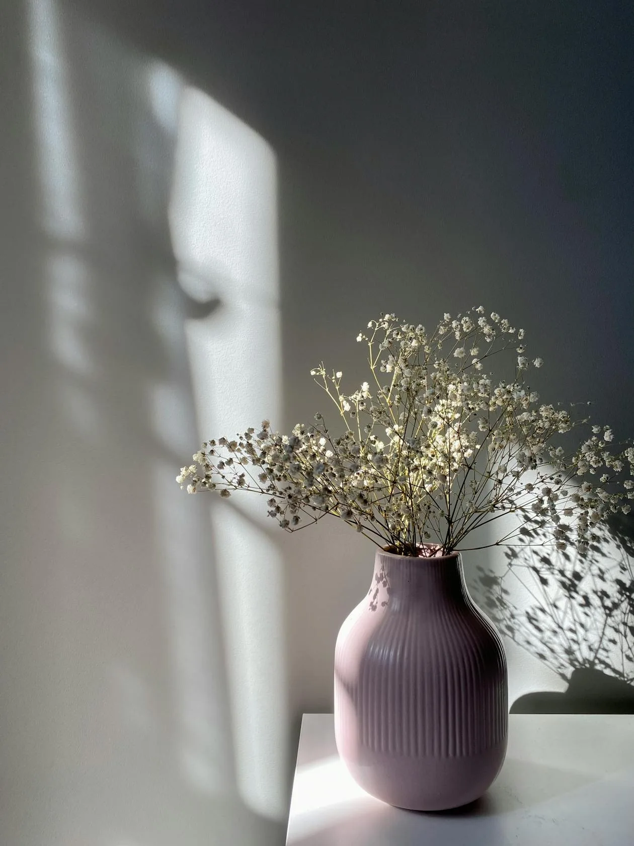 A vase of baby's breath flowers standing near a wall in soft sunlight