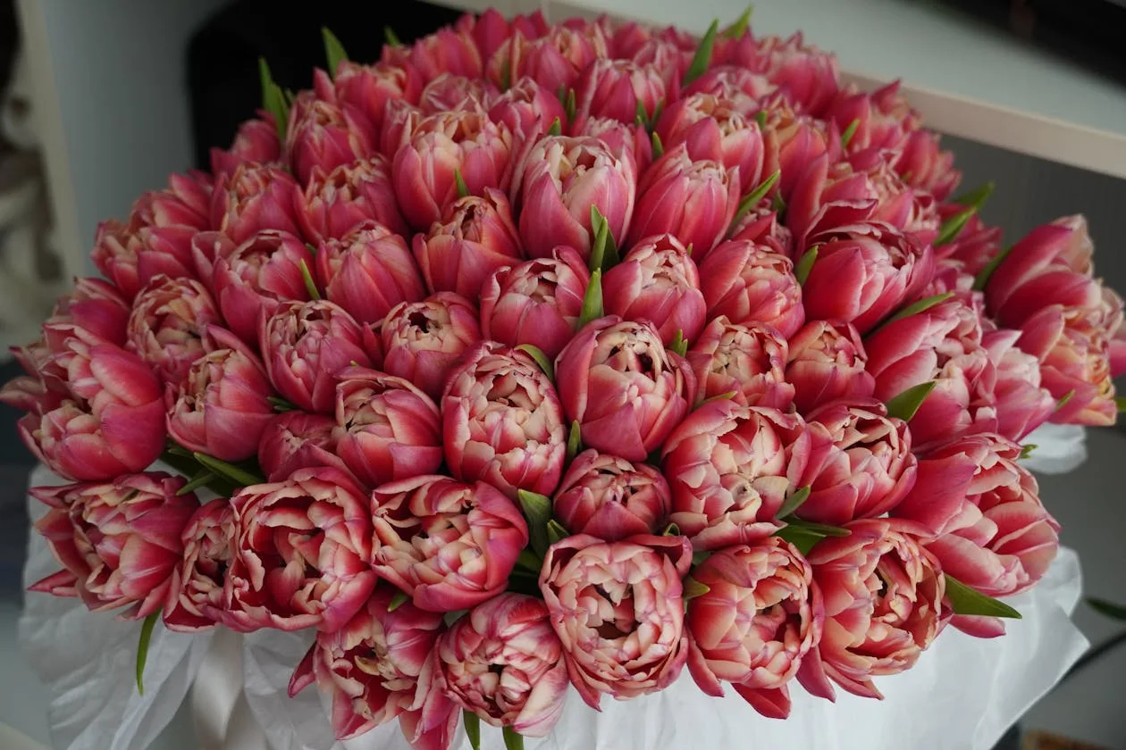 Stunning arrangement of fresh pink tulips showcasing vibrant spring colours