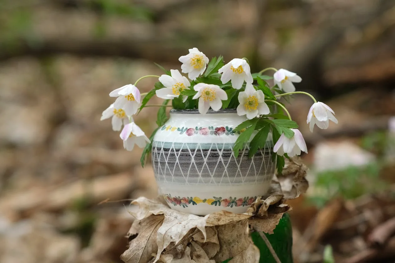 Delicate wild anemone flowers arranged in an ornate ceramic vase