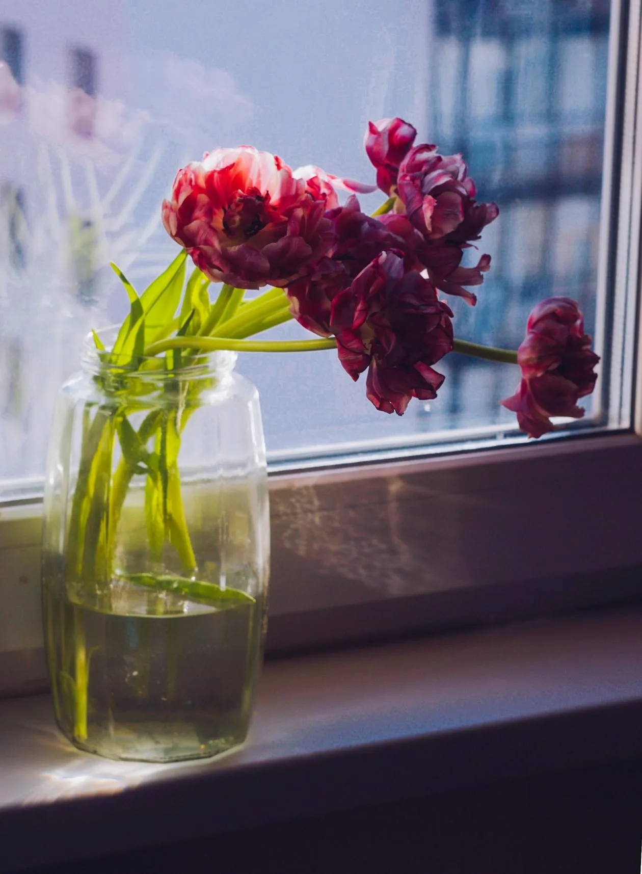 A vase of colourful blossoming flowers on a sunny windowsill