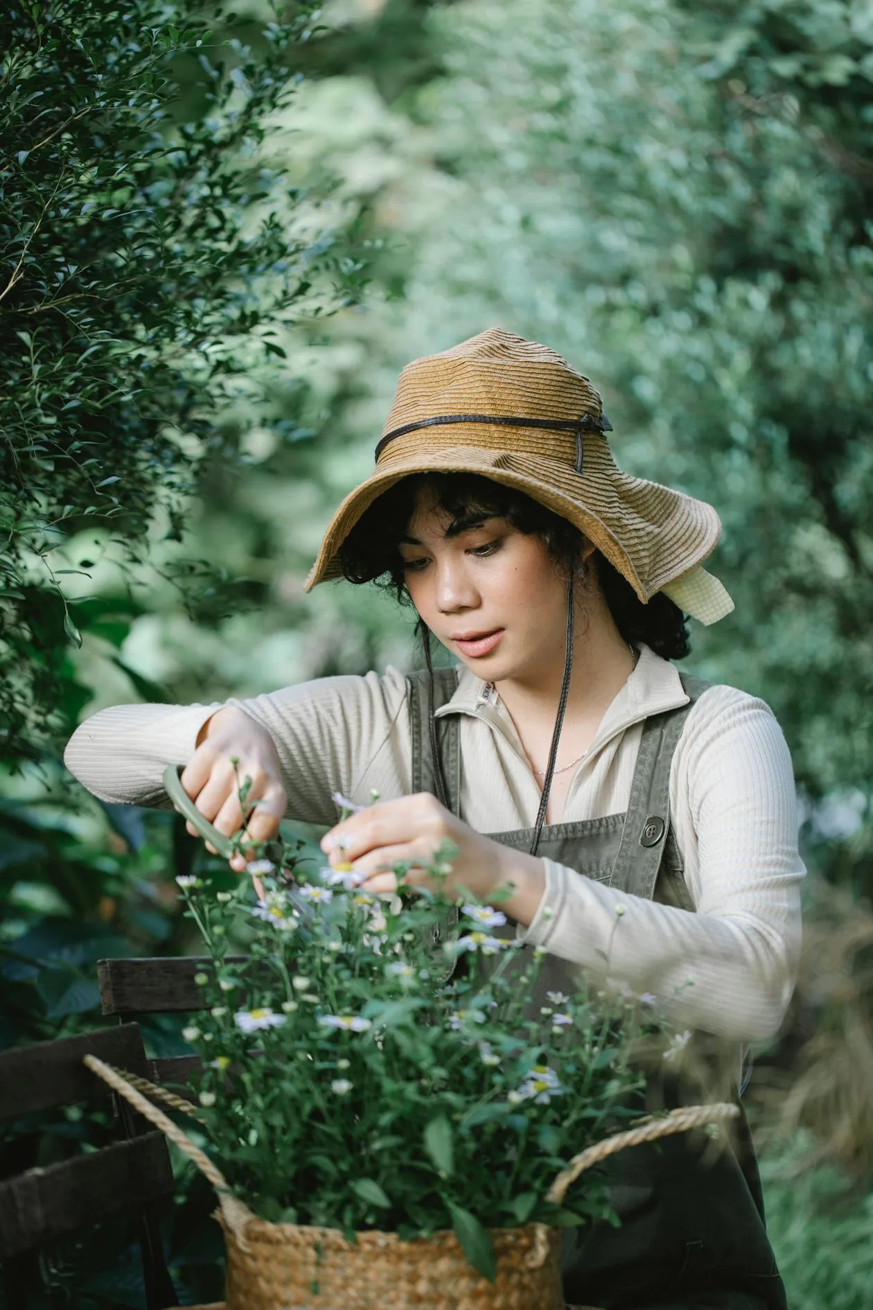 A woman cutting fresh flowers in a garden wearing a straw hat